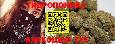 прущая мука Будённовск