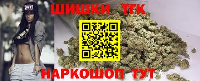 индика Братск