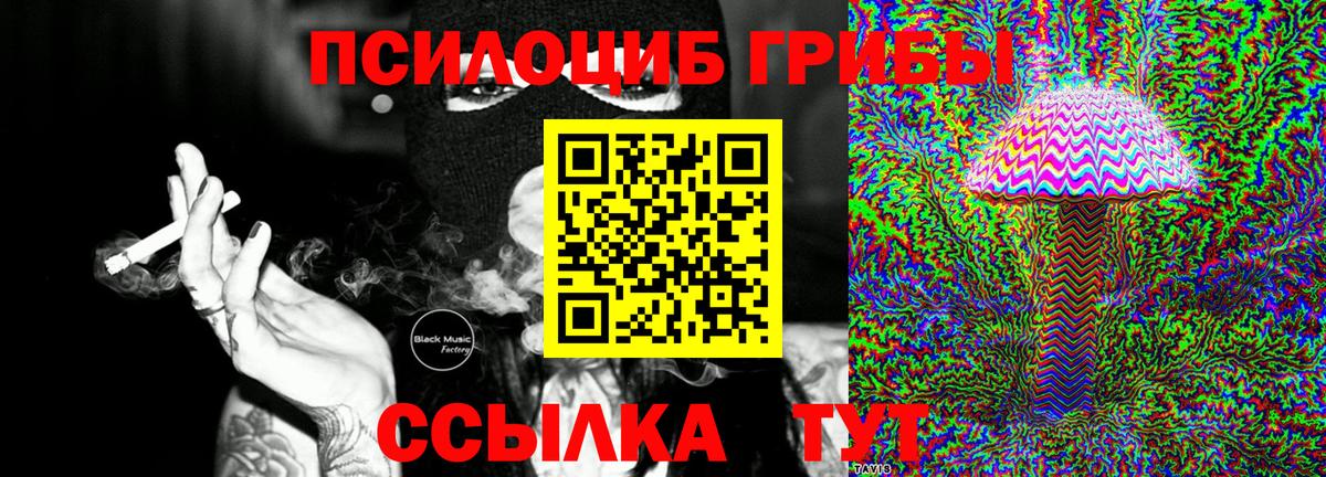 Лесозаводск  Псилоцибиновые грибы Psilocybe  Вход с VPN  Галлюциногенные грибы Cubensis 
